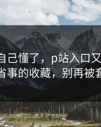我以为自己懂了，p站入口又更新了，最省事的收藏，别再被套路