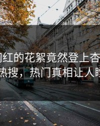 探秘！网红的花絮竟然登上杏吧app下载热搜，热门真相让人瞠目