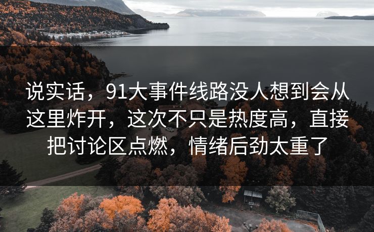 说实话，91大事件线路没人想到会从这里炸开，这次不只是热度高，直接把讨论区点燃，情绪后劲太重了